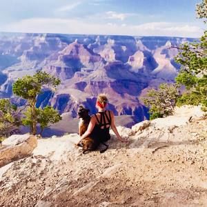 Meet your Posher, Daisy